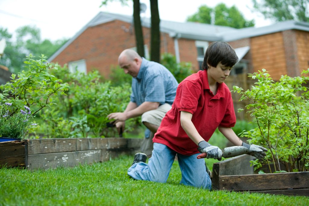 travaux dans le jardin entre un grand père et son petit fils